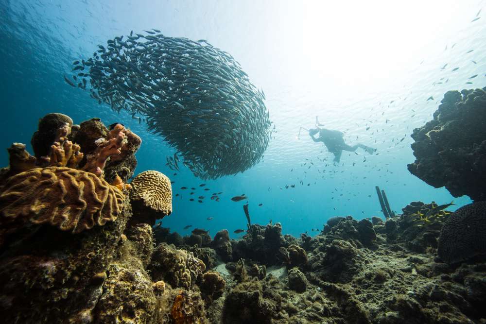 Travel to Curaçao: A Guide to the First-Time Traveler